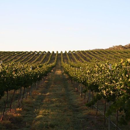 Mayfield Vineyard Orange Zewnętrze zdjęcie