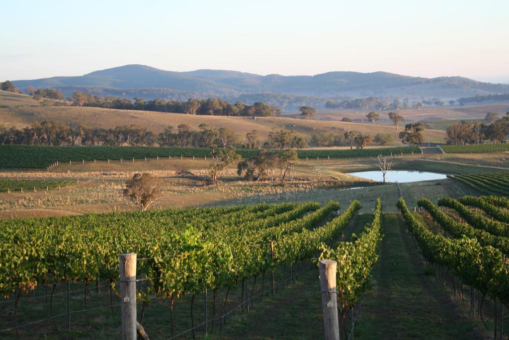 Mayfield Vineyard Orange Zewnętrze zdjęcie