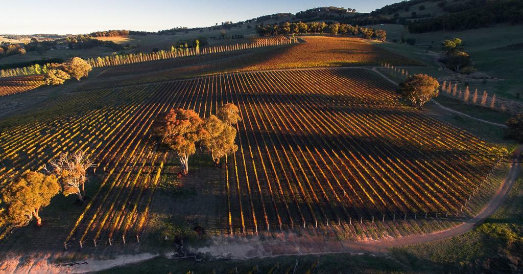 Mayfield Vineyard Orange Zewnętrze zdjęcie
